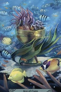 The Ace of Cups from the Mermaid Tarot