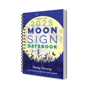 2025 Moon Sign Datebook by Llewellyn