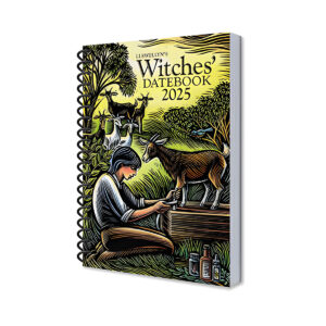 2025 Witches Datebook by Llewellyn