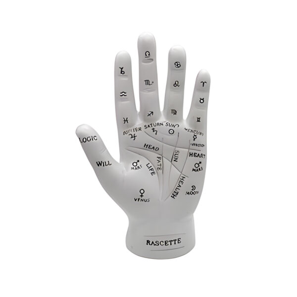 7" Palmistry Hand