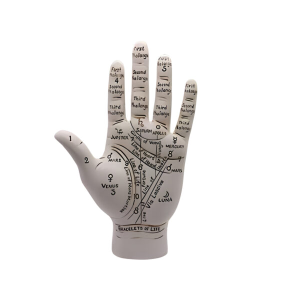 9 1/2" Palmistry Hand