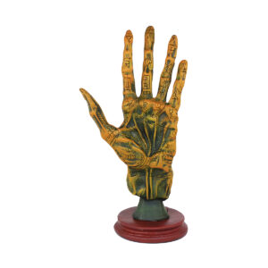 Alchemy Palmistry Hand